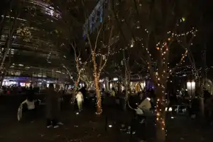 2025-07-06 Darling Harbour - IMG_3166_compressed_q80.webp